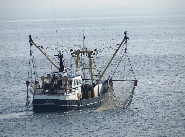 Empty Sea.JPG - Daily Business